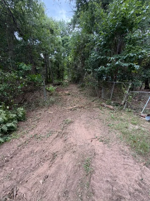Cleared dirt pathway through wooded area with removed vegetation and mature trees lining both sides