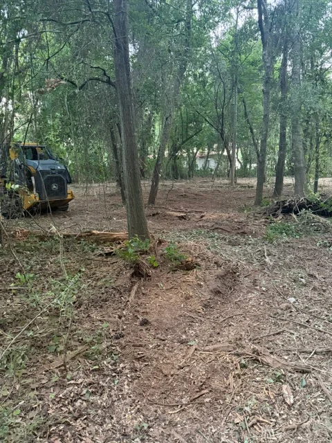 Wooded lot with mature trees, cleared ground, and yellow skid steer loader removing debris