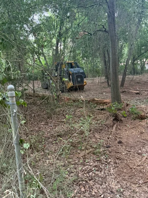 Forestry mulcher processing underbrush and vegetation in wooded area with mature trees