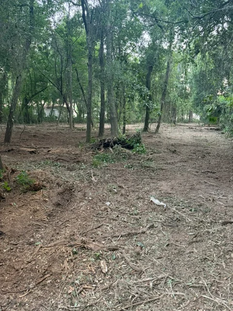 Cleared wooded lot with mature trees, exposed soil, and removed brush debris