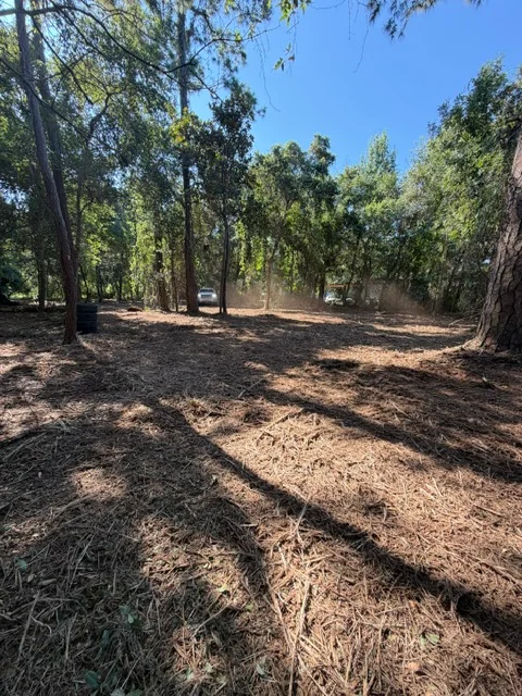 Cleared wooded lot with mulched ground and preserved mature trees